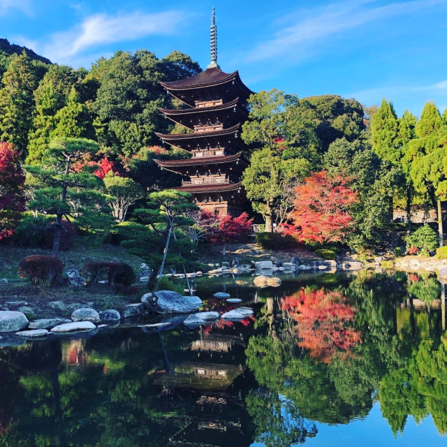 山口エリアのドッグラン